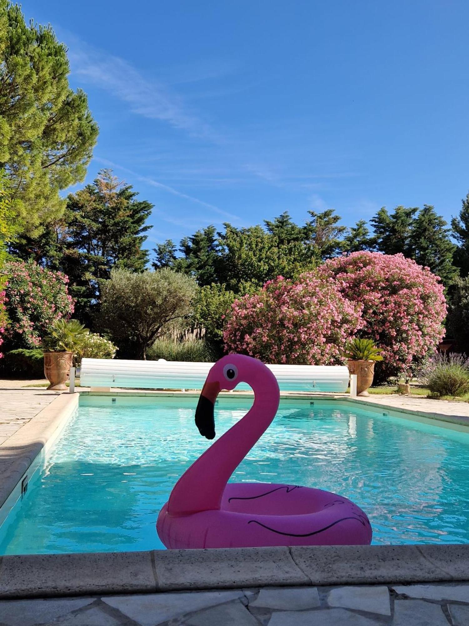 Mas Armelin Bed and Breakfast Tarascon Εξωτερικό φωτογραφία