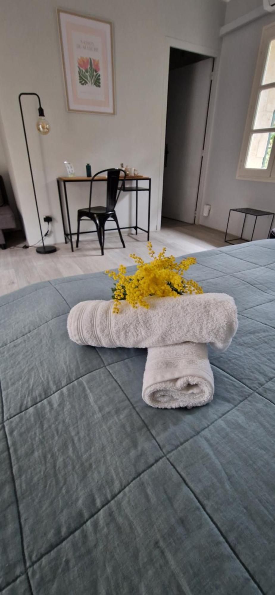 Mas Armelin Bed and Breakfast Tarascon Δωμάτιο φωτογραφία