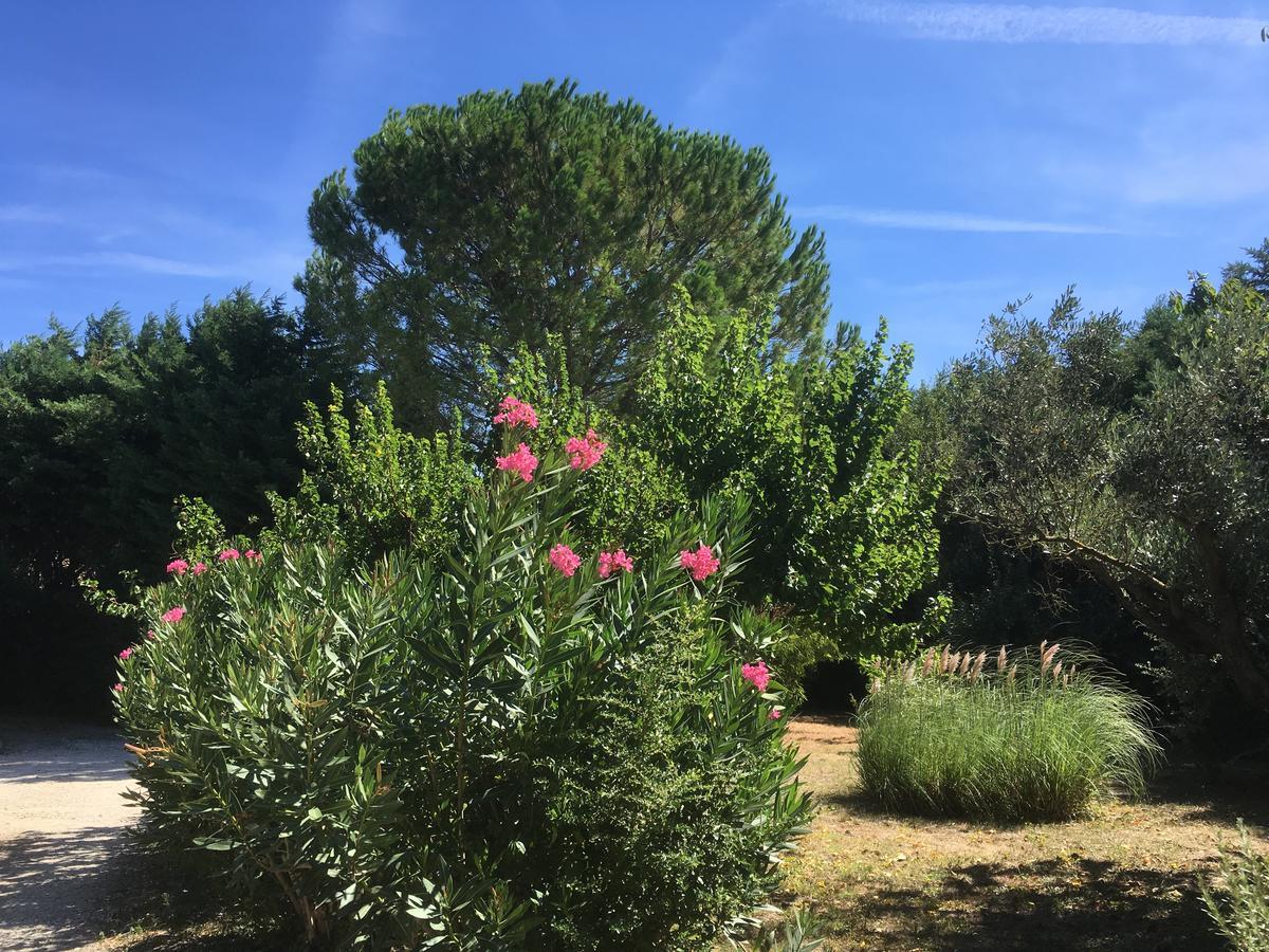 Mas Armelin Bed and Breakfast Tarascon Εξωτερικό φωτογραφία